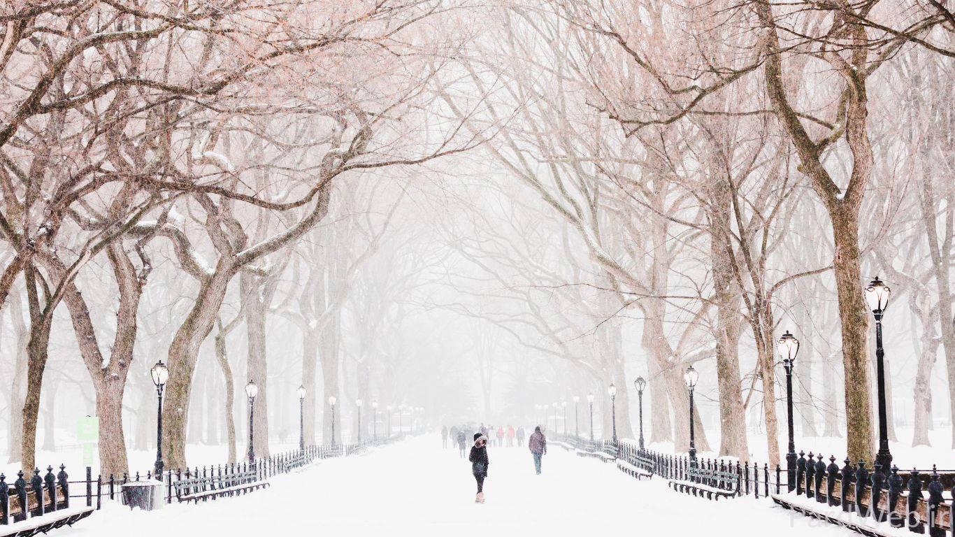 تصویر با درختان و جاده و زمستان برفی برای پاورپوینت